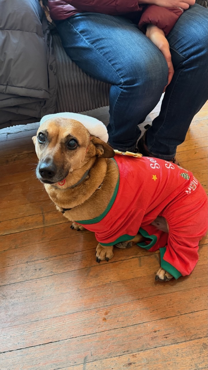 Jingle Bell Dash 2025 – 102